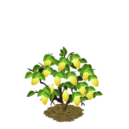 File:Lemon last.png