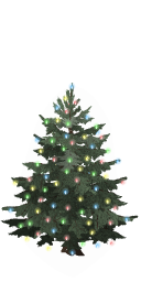 Lighted tree last