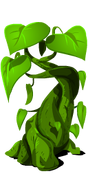 Beanstalk last