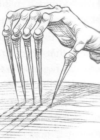 Datei:Fingerspikes.jpg