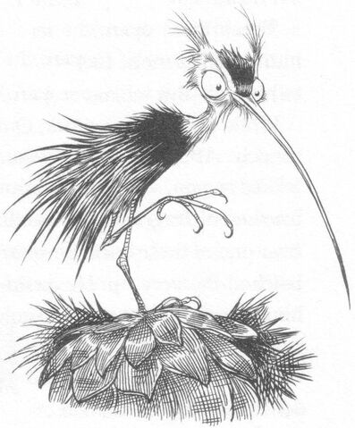 Datei:Urchinbird.jpg