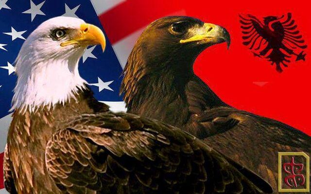 Skeda:USA-ALB.jpg