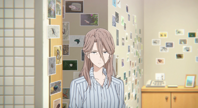 File:Vlcsnap-2017-05-20-10h59m11s793.png