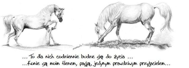 Plik:Okoko.jpg