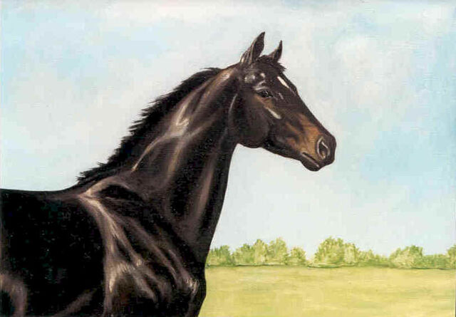 Plik:Ruffian 4.jpg