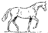 Klus trans.gif