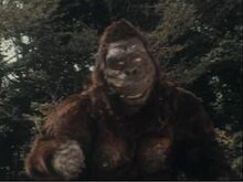 IKE KONG