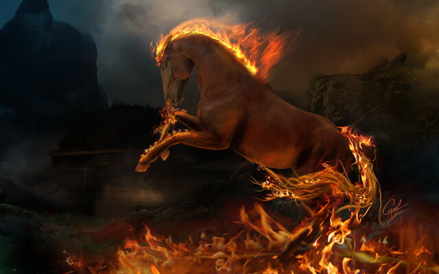 File:Horse2.jpg