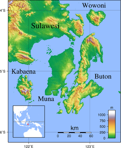 파일:Buton Topography.png