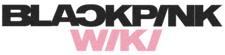Blinks Wiki wordmark