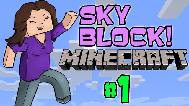 File:Skyblock.jpg