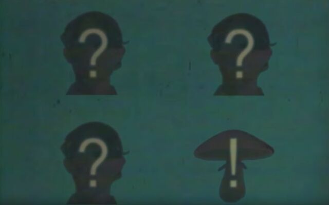 File:Jeans mushroom.jpg
