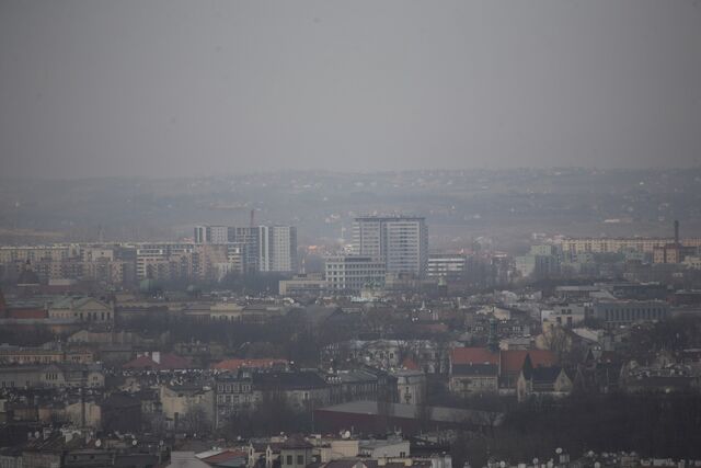 Plik:20090207-124359-1699-raw5d-01 1575x1050.jpg