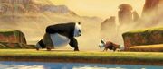 Shifu-11.jpeg