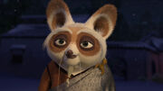 Shifu-26.jpeg