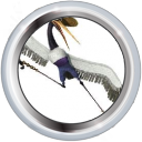 Bestand:Badge-picture-5.png