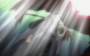 Hayate