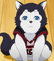 Tetsuya