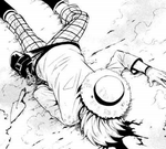 Finnian pokonany.png