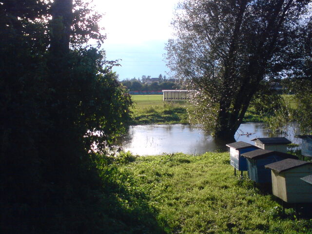 Plik:Kurowka02092010-3.jpg