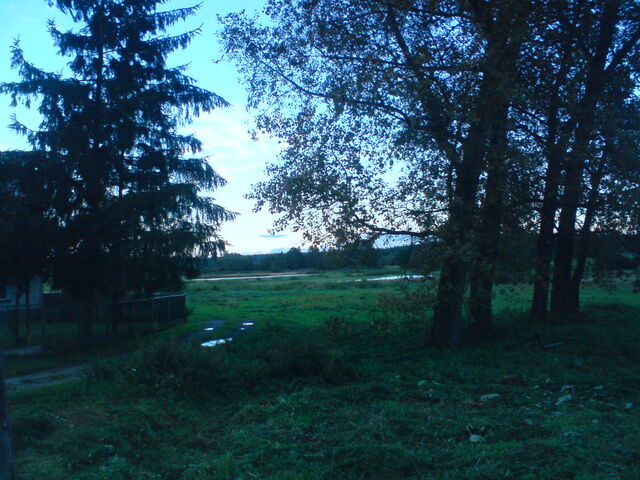 Plik:Kurowka02092010-8.jpg