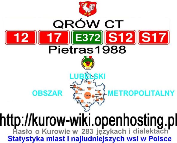 Plik:Avatar z metropolią.jpg