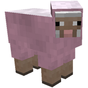 Pink sheep