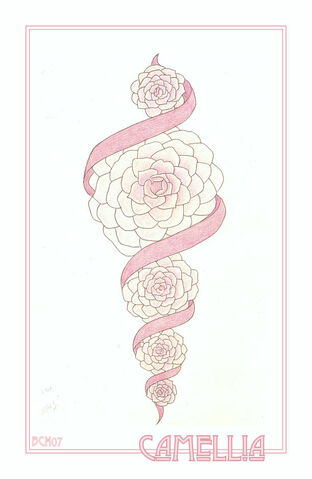 File:Camellia Marque by elegaer.jpg