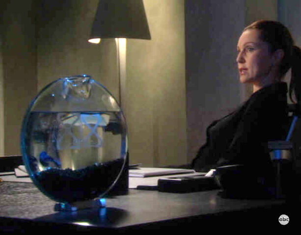 File:ZzyzxFishbowl.jpg