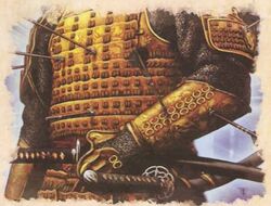 Ceremonial Armor