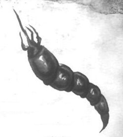 Nikumizu 2