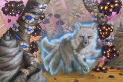 Kitsune Kohaki