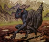 Ratling Scavenger 2