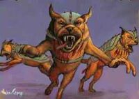 Dogs