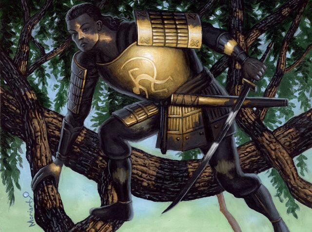 File:Armor of Light.jpg