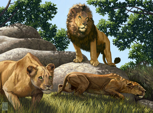 File:Jade's Roar.jpg
