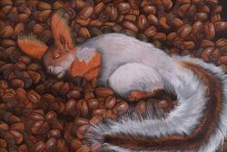 Squirrel 2