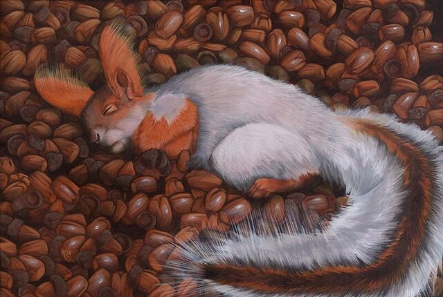File:Squirrel 2.jpg