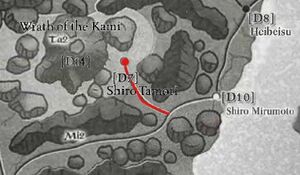 Mountain's Path