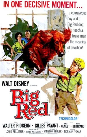 Fichier:Big Red 1962 film.jpg