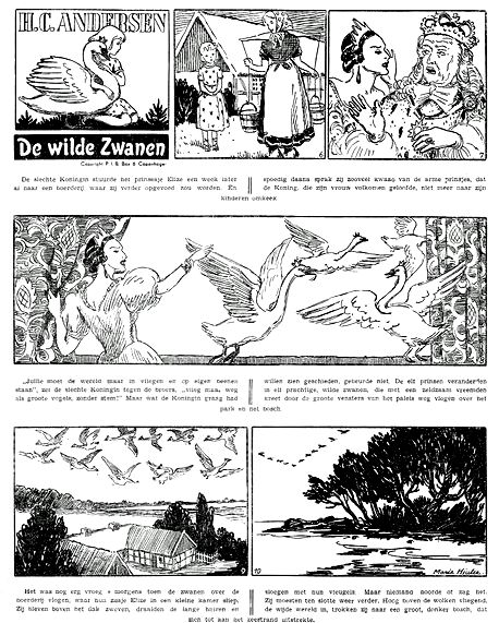 Cygnes sauvages soleil danmark.jpg