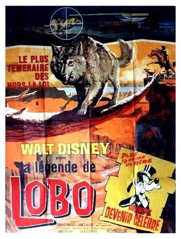 Fichier:Lobo fr.jpg