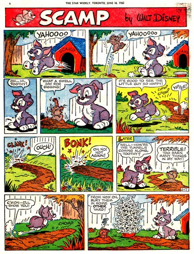 Scamp.jpg