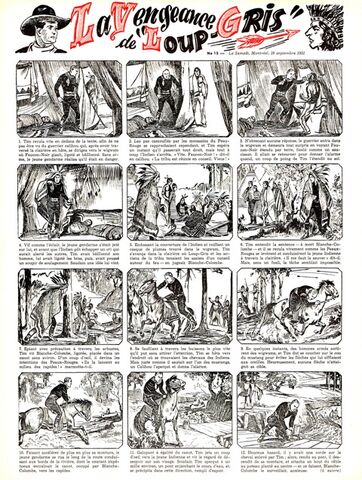Fichier:Loup-Gris.jpg