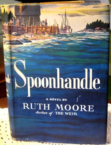 Fichier:Spoonhandle livre.jpg