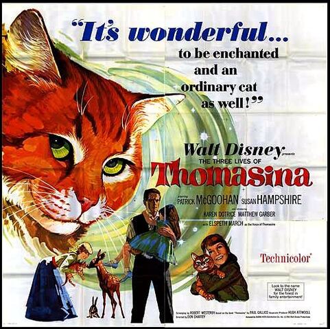 Fichier:Thomasina poster.jpg