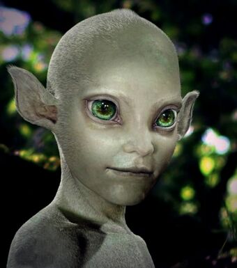 Imp Rostro.jpg