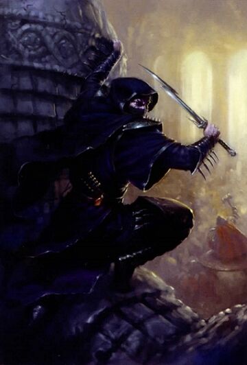 Shadowblade imagen 8ª.jpg