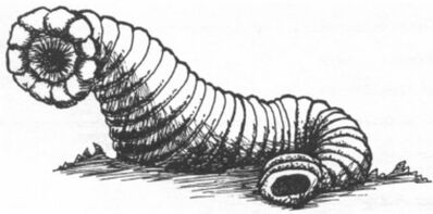 Sanguijuela gigante imagen Battle Bestiary 2ª edición.jpg
