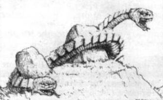Anfisbena.jpg